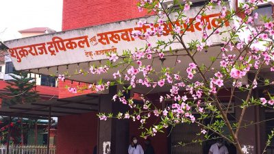 काठमाडौं उपत्यकामा १३ कोरोना संक्रमितको उपचार हुँदैं