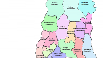 मोरङका साना नाकामा छैन हेल्थ डेक्स