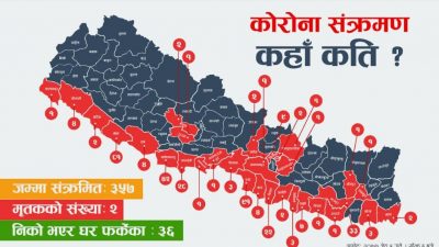 यी हुन कोरोना संक्रमित भेटिएका ३१ जिल्ला, कहाँ कति संक्रमित…