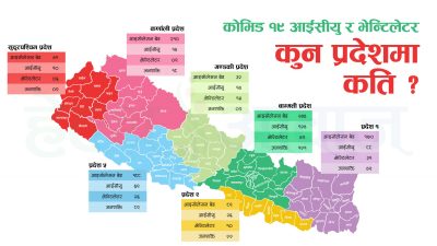 वात्सल्य नेचुरल आईभीएफले एकै महिनामा १२९ दम्पत्तीलाई दियो सन्तान सुख