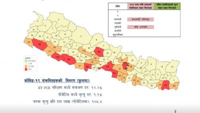 ४ जिल्लामा ५ सयभन्दा बढी सक्रिय संक्रमित, ११ जिल्ला अति…