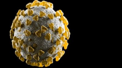 कोभिड-१९ महामारी नसकिएको भन्दै वैज्ञानिकले दिए चेतावनी, डेल्टा भेरियन्ट पुनः…