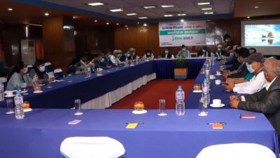 चिकित्सा शिक्षा ऐन संशोधनको प्रक्रियामा छ : उपाध्यक्ष प्रा.डा. गिरी