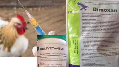 बन्देज लगाइएको एन्टीबायोटिक ‘कोलस्टिन सलफेट’ नेपालमा कालोबजारी