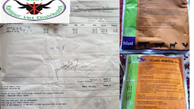 प्रतिबन्धित एन्टीबायोटिकको कालोबजारी गर्दै कान्तिपुर भेट डिष्ट्रिब्युटर्स, डिडिएलाई छलियो