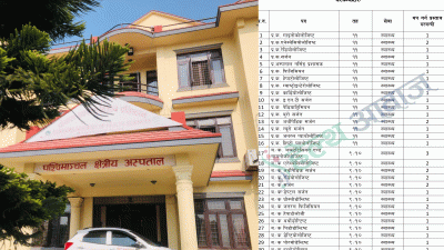 पोखरा स्वास्थ्य विज्ञान प्रतिष्ठानमा २१३ नर्स र ११६ चिकित्सकसहित ३९८&hellip;