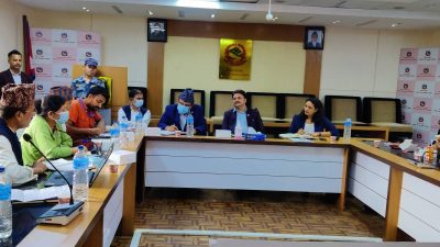 स्वास्थ्यमा क्रियाशील संगठनको माग सम्बोधन गर्न कार्यदल बन्ने