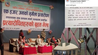 १००० मिर्गौला प्रत्यारोपण गरेको प्रधानमन्त्रीलाई सुनाउन, अस्पतालका सबै ओपिडी सेवा&hellip;