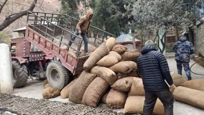 डोल्पामा ६९ बोरा अवैध जडीबुटी बरामद